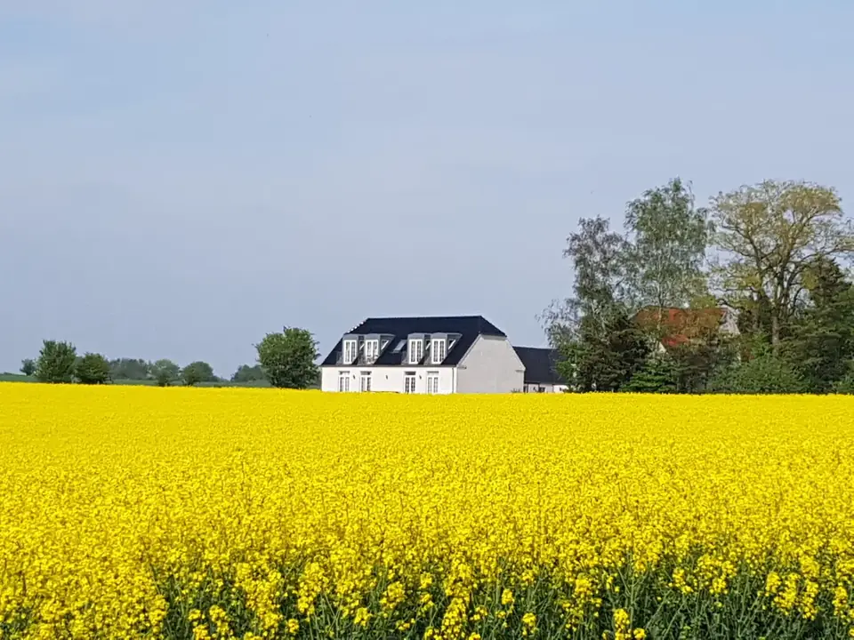 Huset set over en gul mark