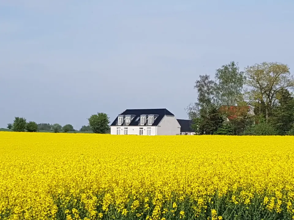 Huset