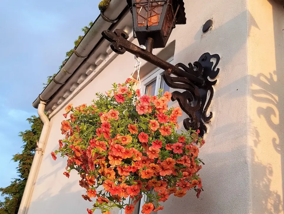 Hængende blomster ved indgangen