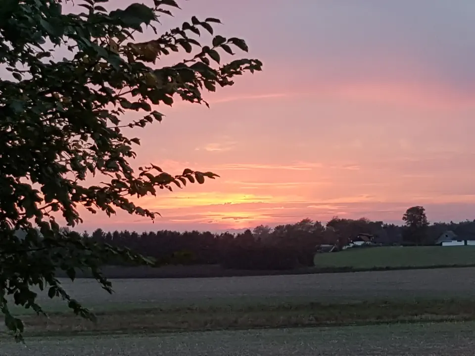 Landskabet omkring