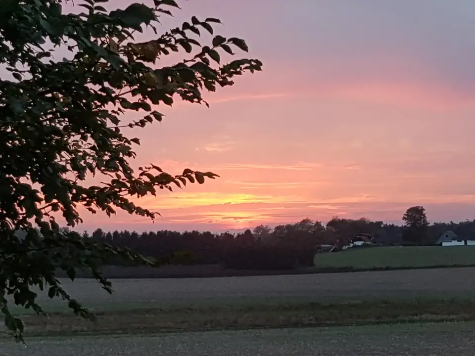 Rosa solnedgang over landskabet