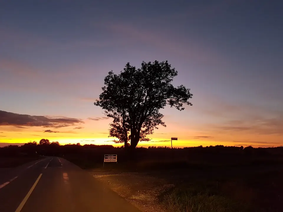 Landskabet omkring